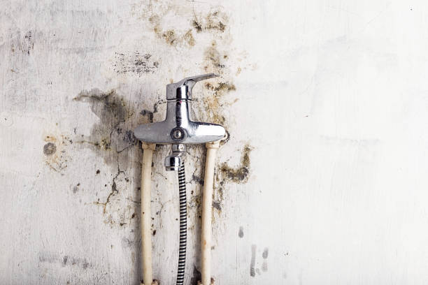 Best Health and Safety Mold Remediation in Fredericksburg, TX