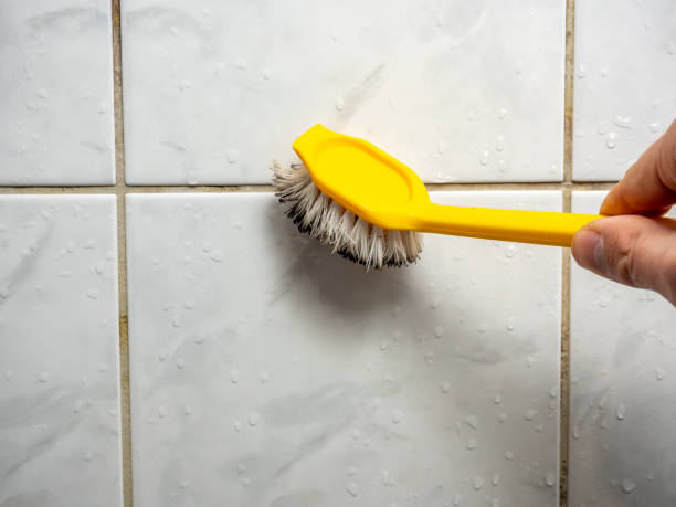 Best White Mold Remediation in Fredericksburg, TX