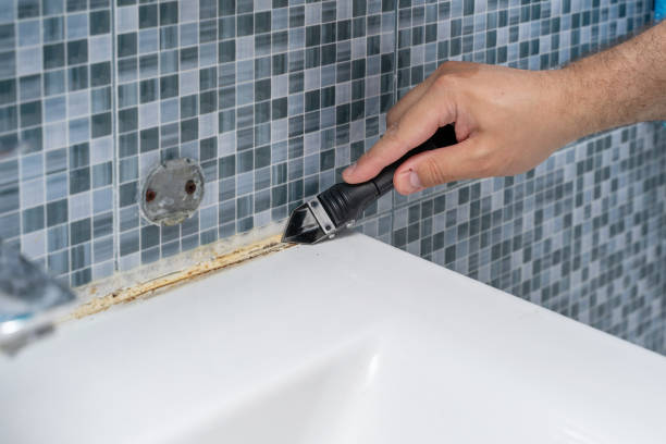 Best Black Mold Remediation in Fredericksburg, TX
